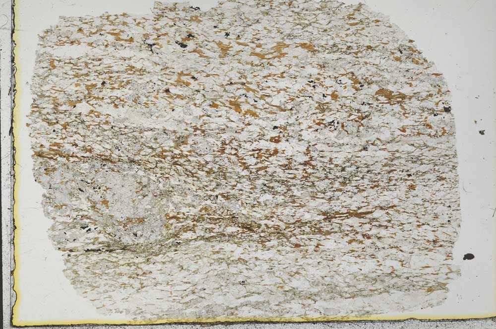 Plane Polarized, S31611