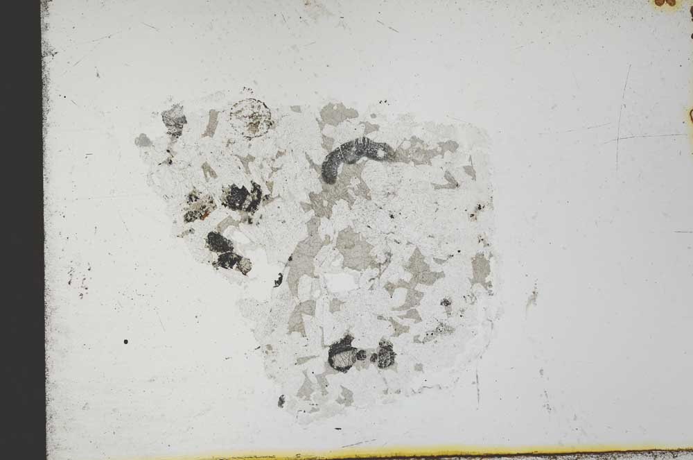 Plane Polarized, S31641