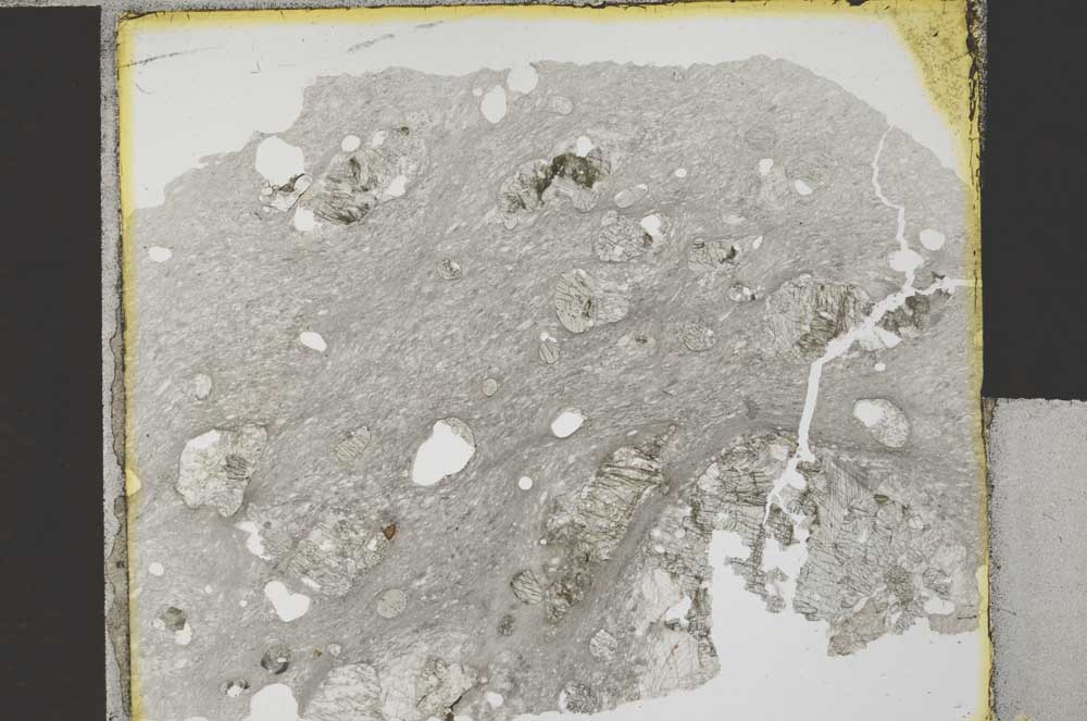 Plane Polarized, S31649