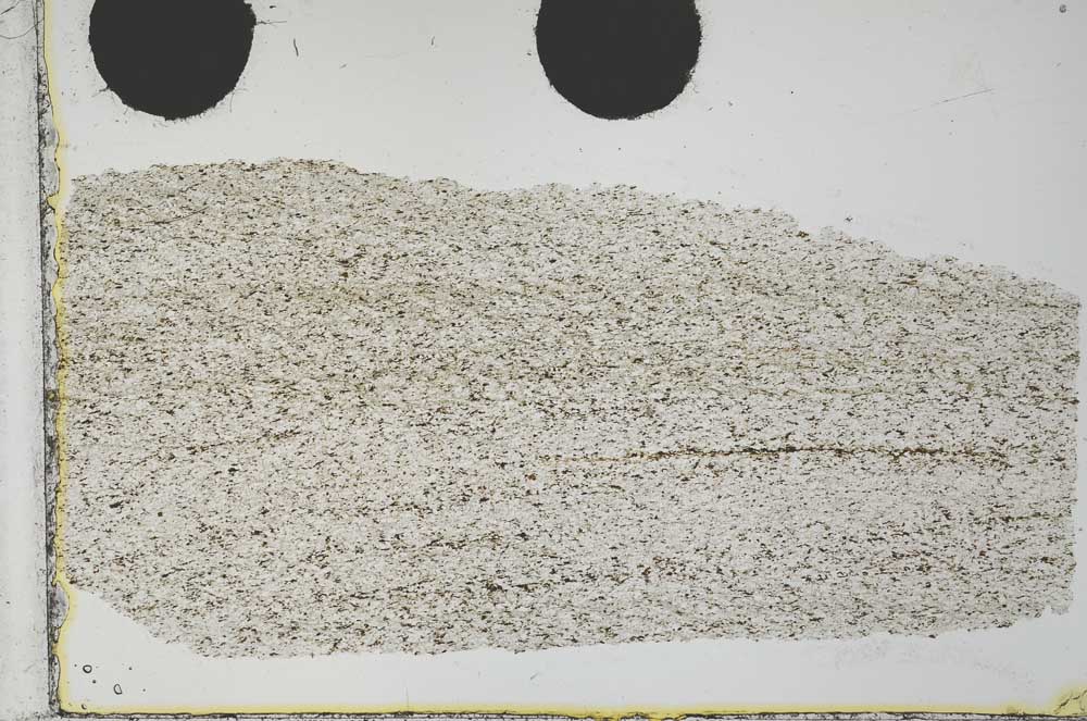 Plane Polarized, S31666