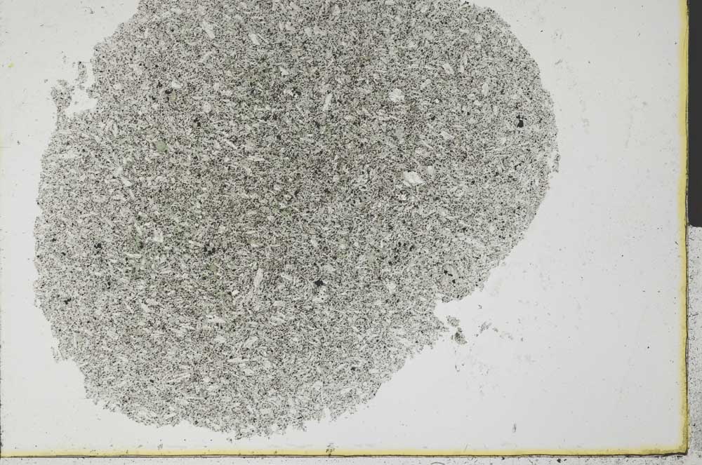 Plane Polarized, S31684