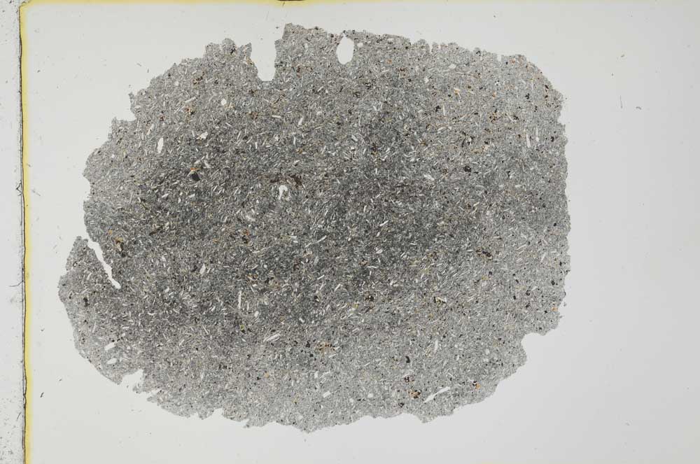 Plane Polarized, S31685