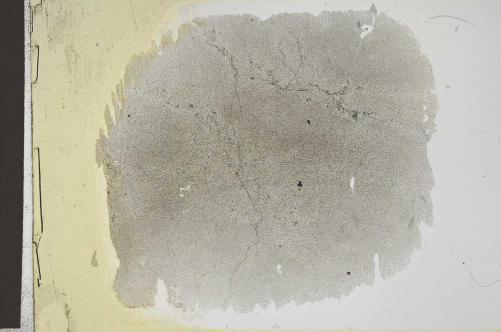 Plane Polarized, S31687