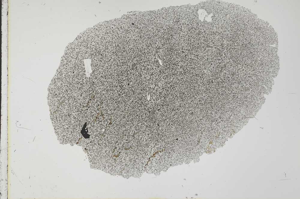 Plane Polarized, S31716