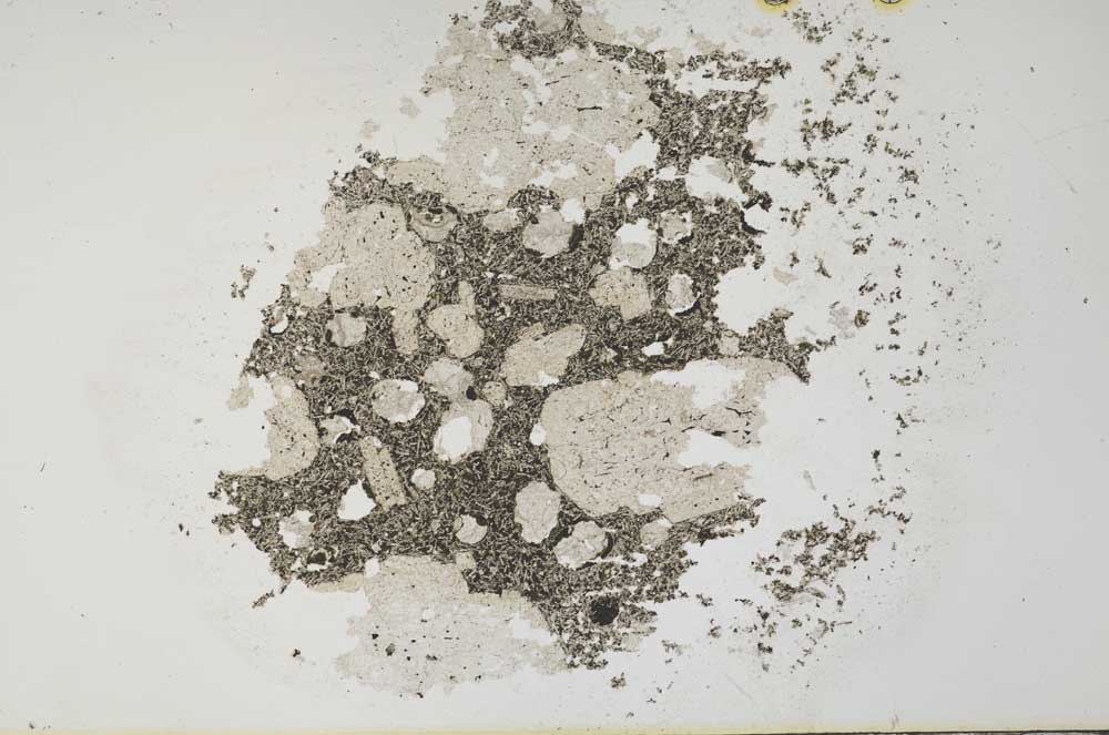 Plane Polarized, S31721