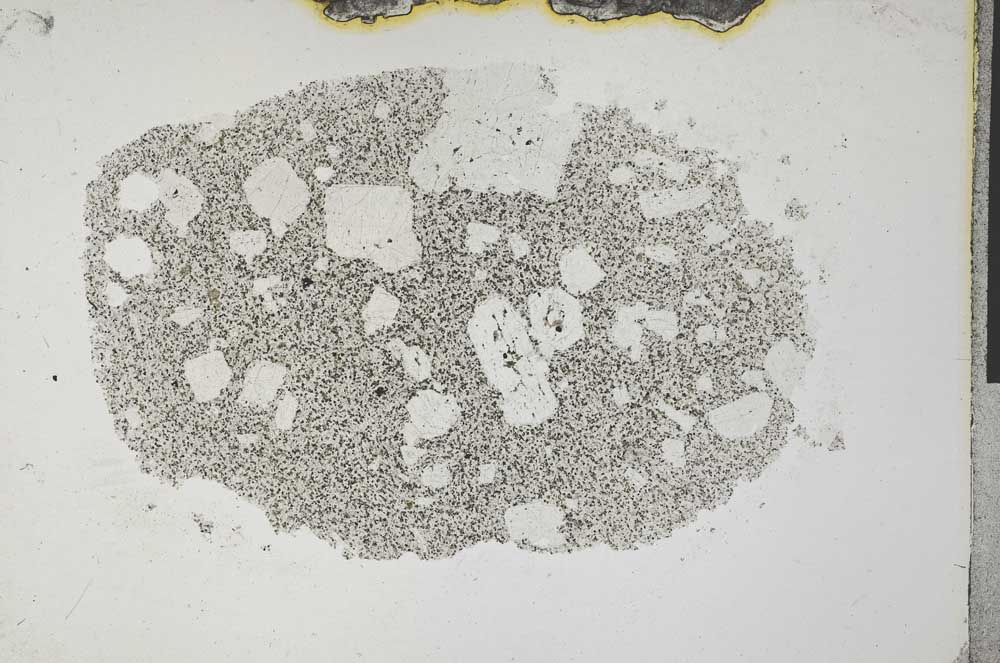 Plane Polarized, S31724