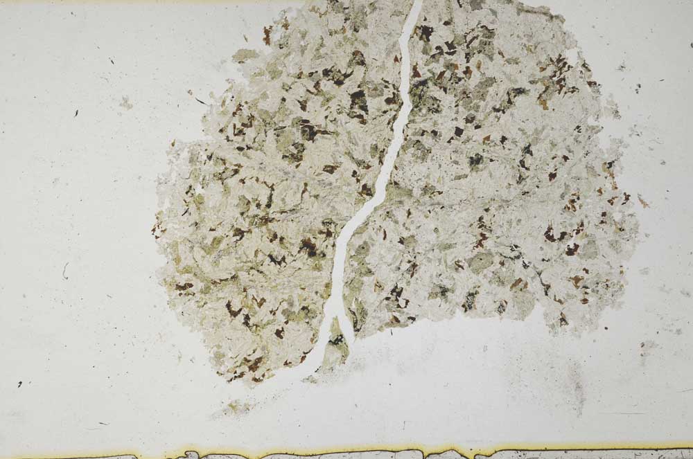 Plane Polarized, S31730