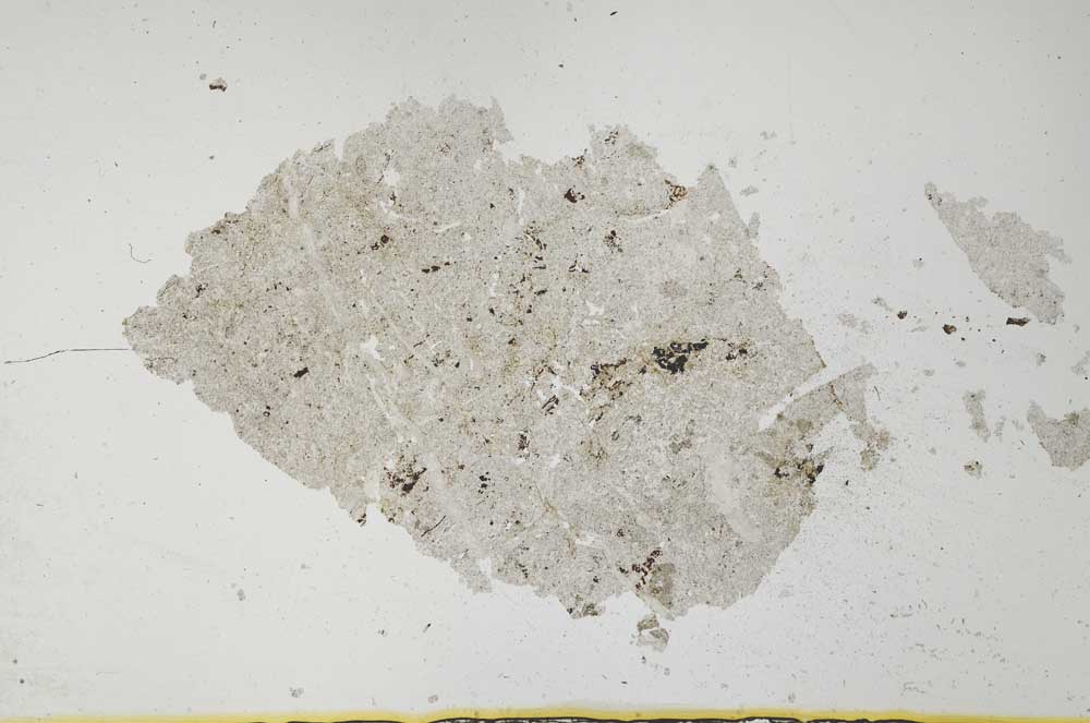 Plane Polarized, S31735