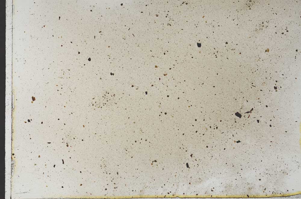 Plane Polarized, S31761