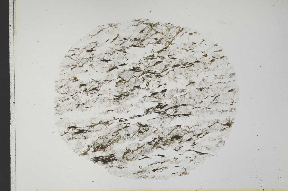 Plane Polarized, S31763