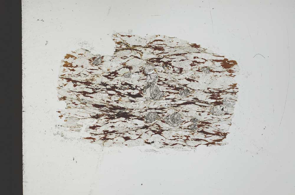Plane Polarized, S31773