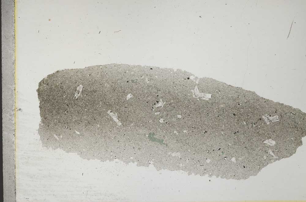 Plane Polarized, S31795