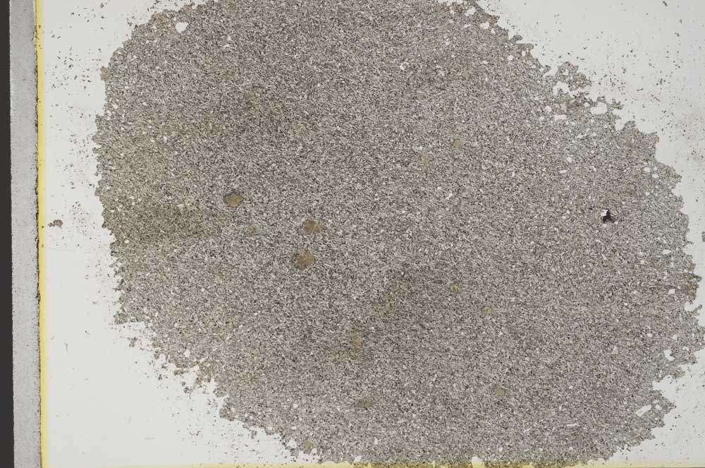 Plane Polarized, S31800