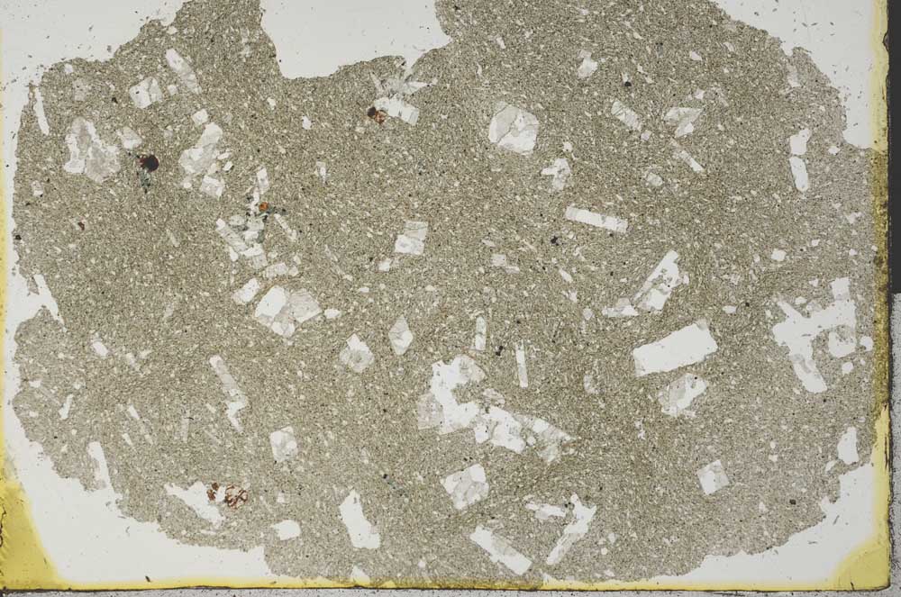 Plane Polarized, S31803