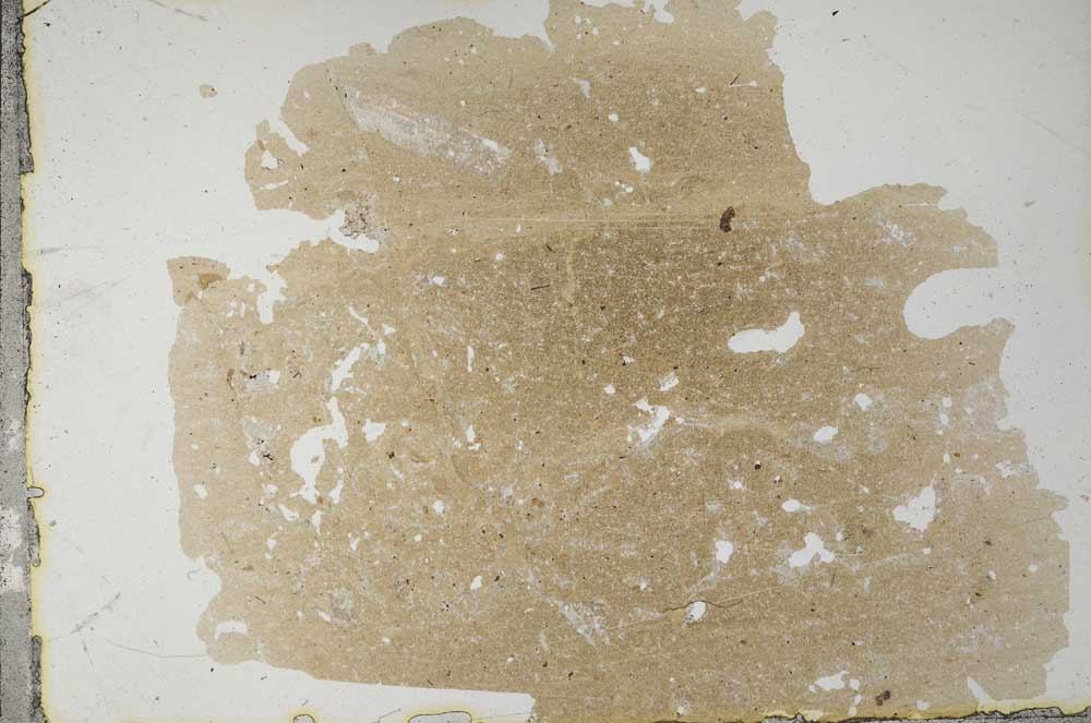 Plane Polarized, S31807