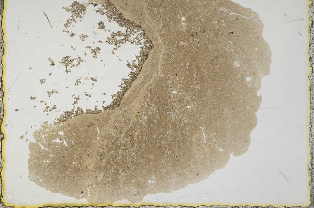 Plane Polarized, S31808