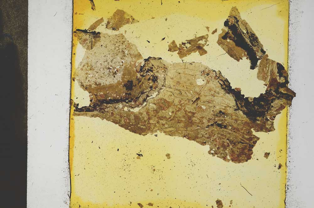 Plane Polarized, S31833