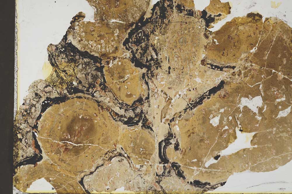 Plane Polarized, S31833/A