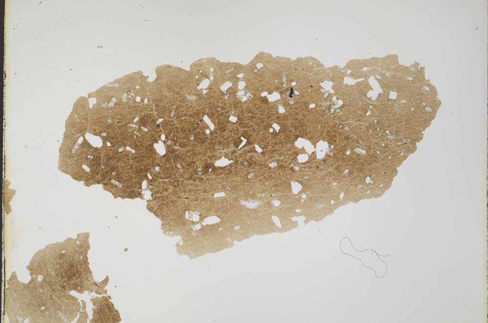 Plane Polarized, S31834