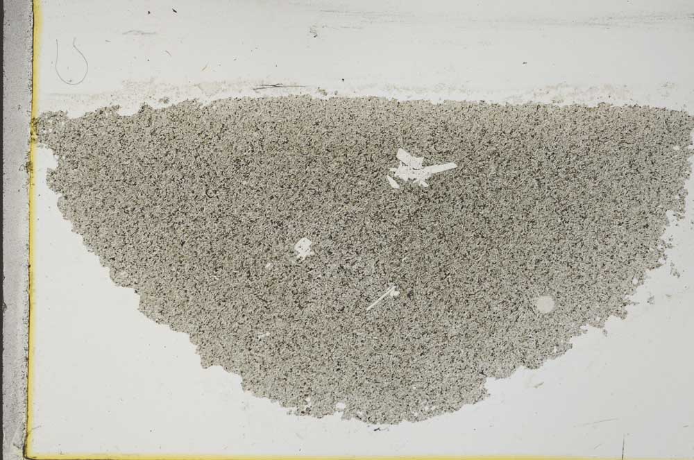 Plane Polarized, S31835