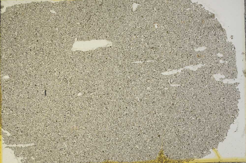 Plane Polarized, S31837