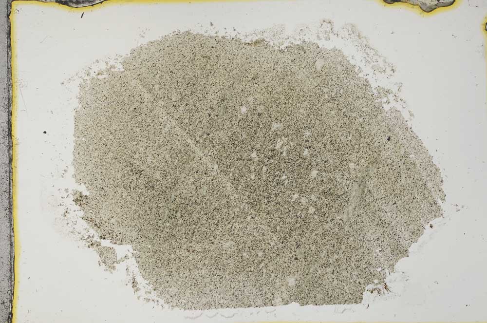 Plane Polarized, S31840