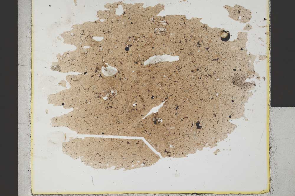 Plane Polarized, S31841