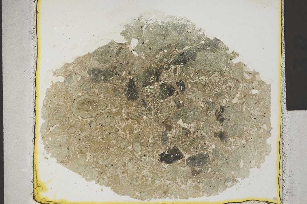 Plane Polarized, S31842