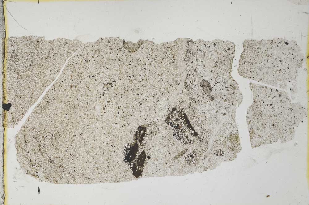 Plane Polarized, S31851