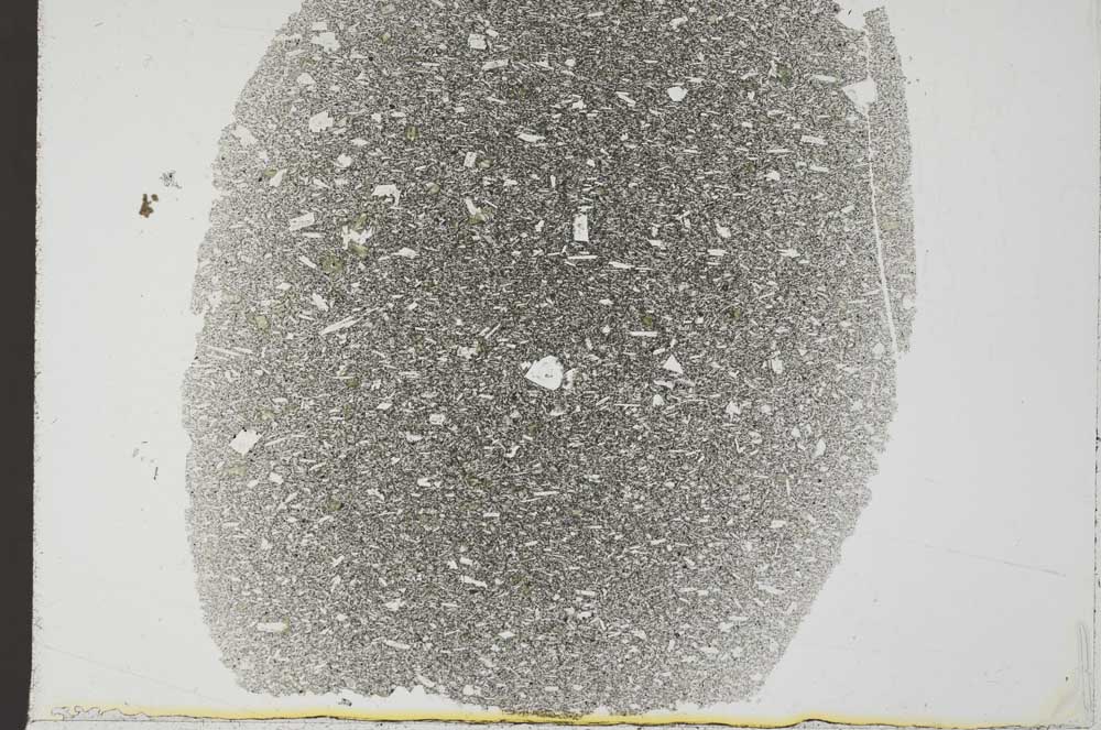 Plane Polarized, S31869