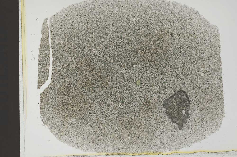 Plane Polarized, S31870