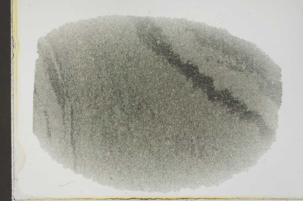 Plane Polarized, S31876