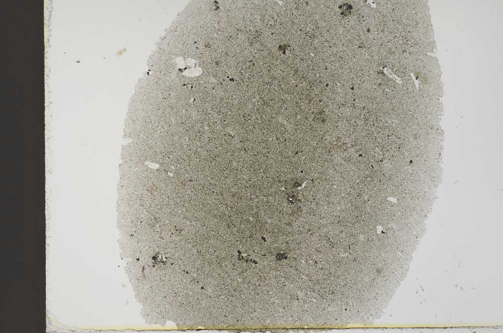 Plane Polarized, S31881