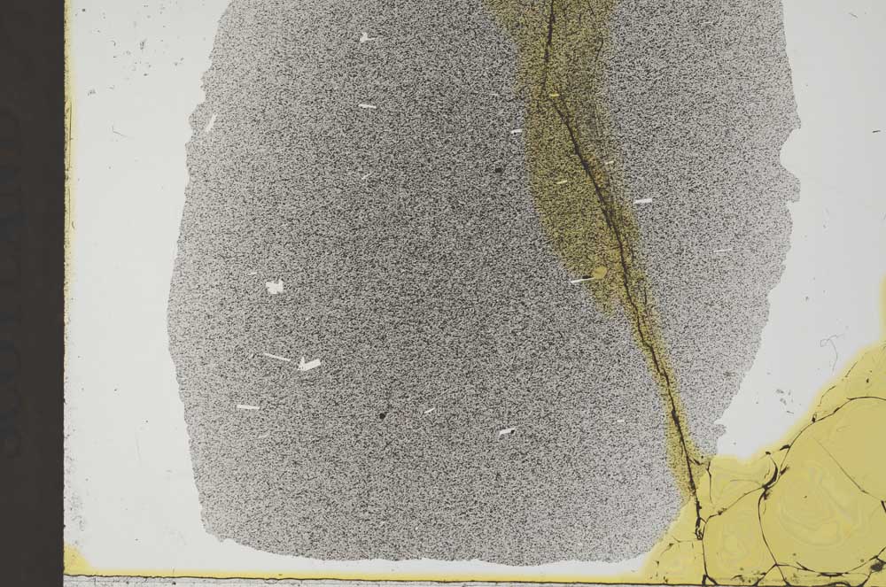 Plane Polarized, S31885