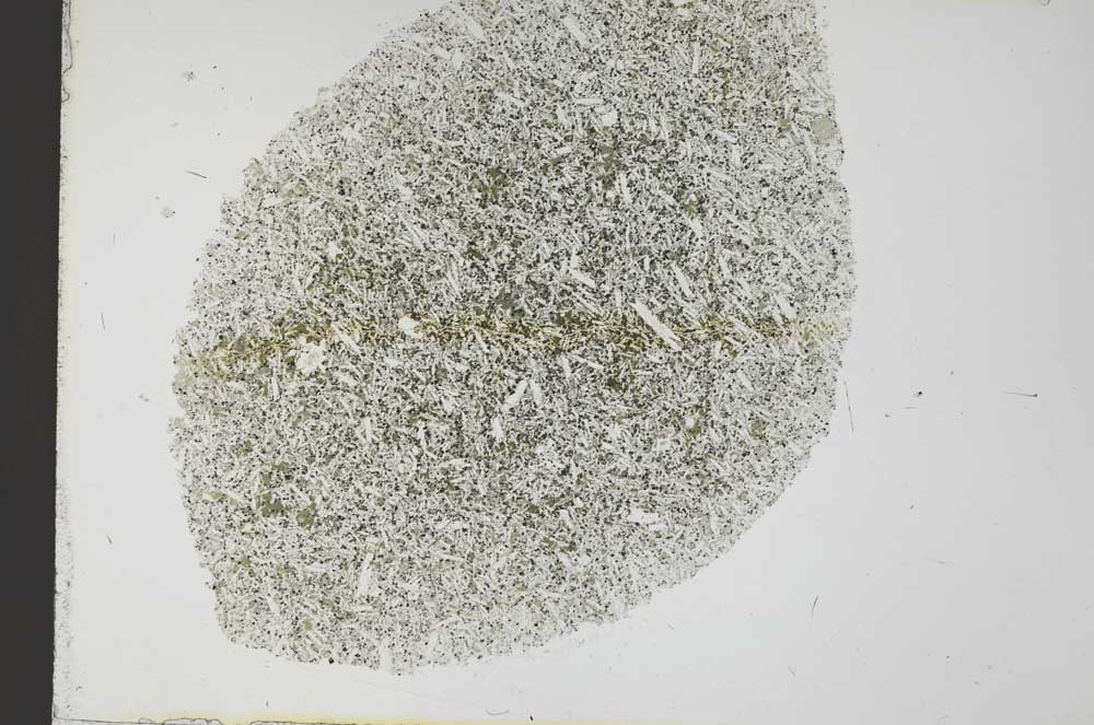 Plane Polarized, S31889