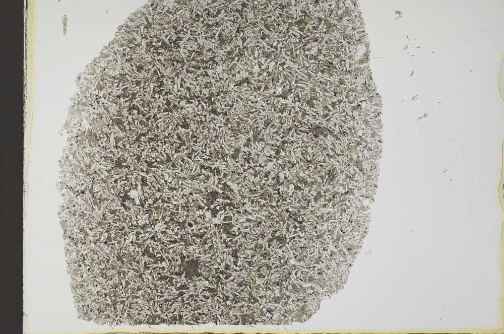 Plane Polarized, S31890