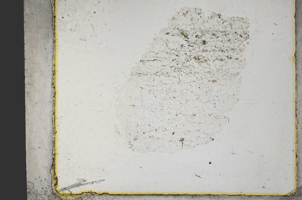 Plane Polarized, S31913