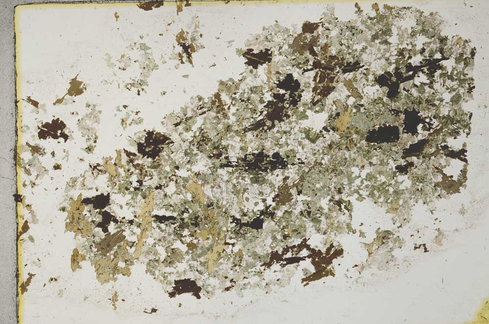 Plane Polarized, S31929