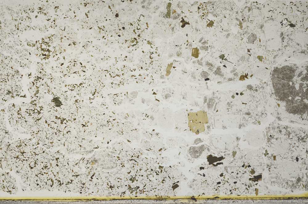 Plane Polarized, S31932