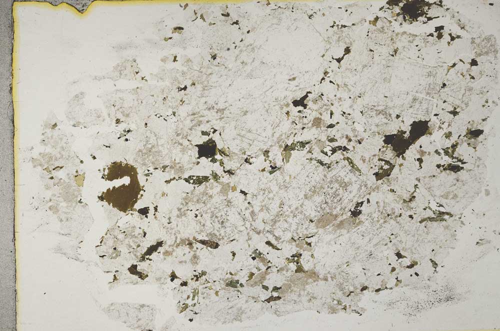 Plane Polarized, S31935