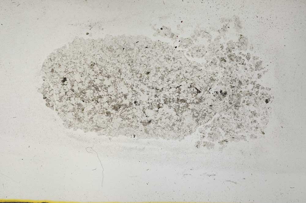 Plane Polarized, S31939
