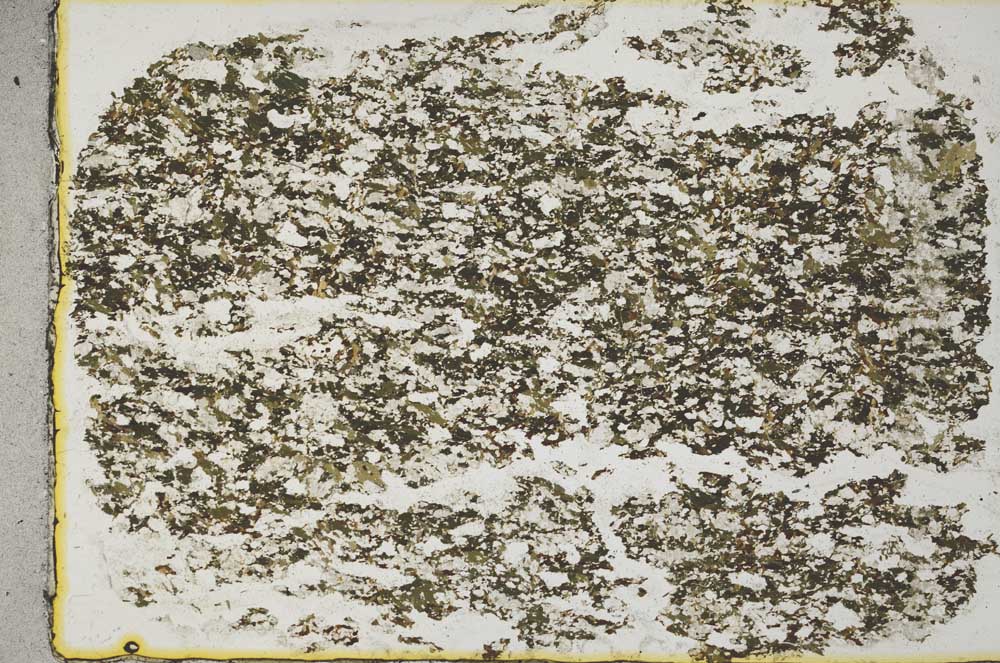 Plane Polarized, S31941