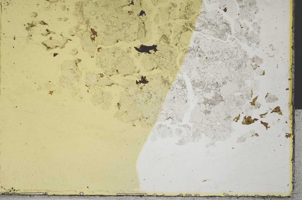 Plane Polarized, S31946