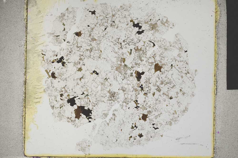 Plane Polarized, S31948