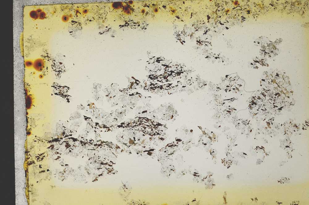 Plane Polarized, S31950