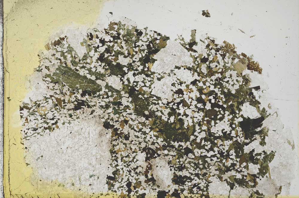 Plane Polarized, S31952