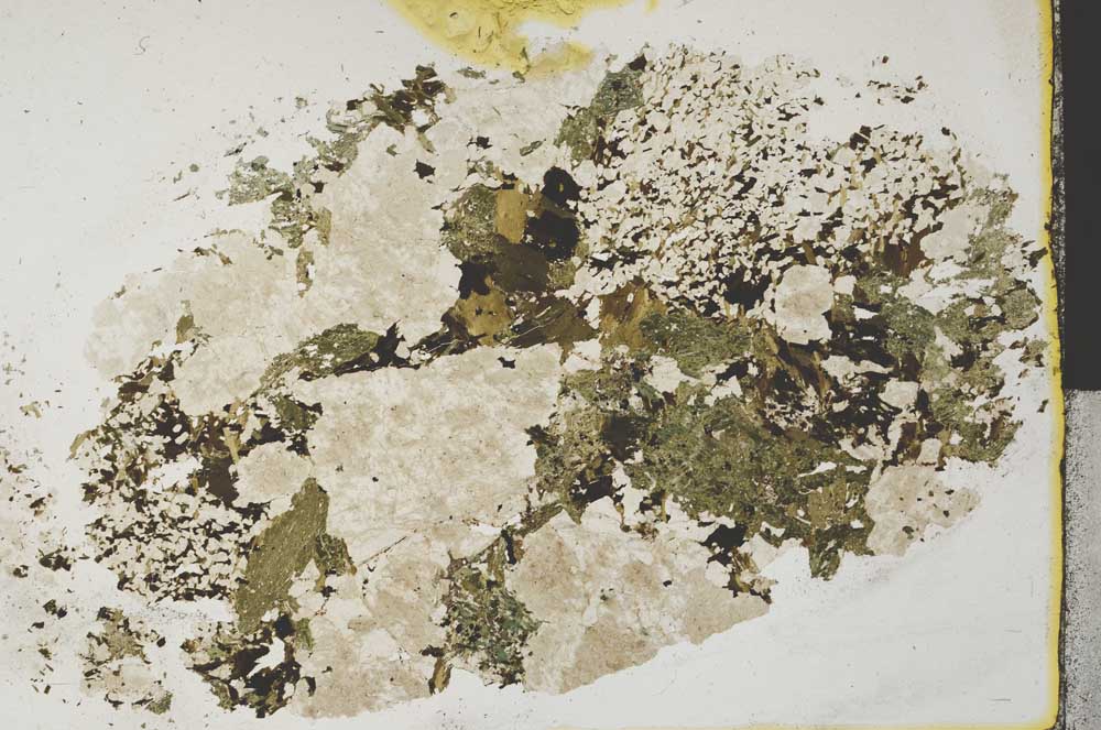 Plane Polarized, S31953