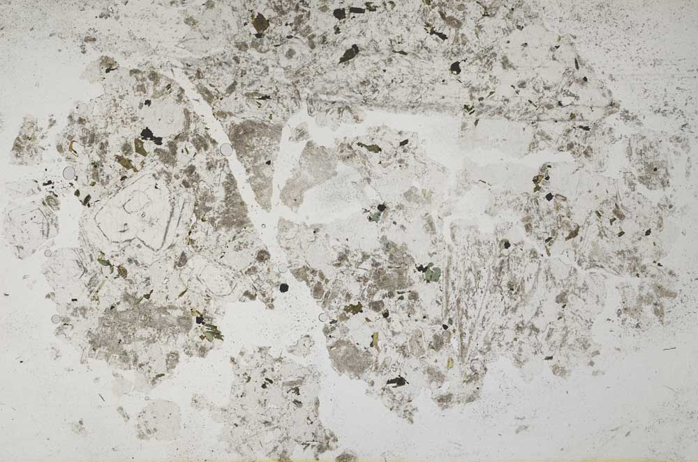 Plane Polarized, S31954