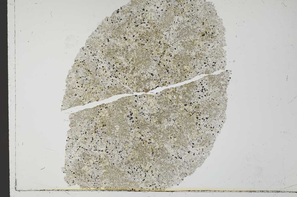 Plane Polarized, S31957