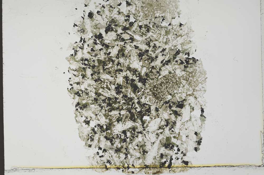 Plane Polarized, S31980